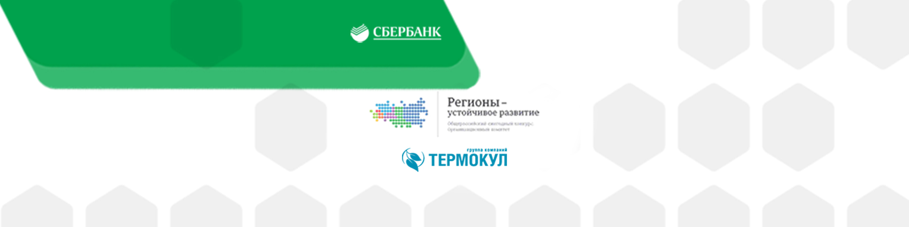Совместный корпоративный продукт Конкурса «Регионы-устойчивое развитие» и ООО «Термокул» Совместный корпоративный продукт Конкурса «Регионы-устойчивое развитие» и ООО «Термокул»