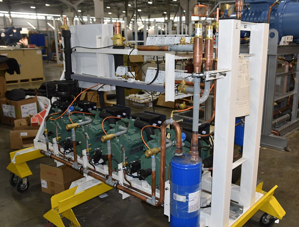 Сети магазинов «Фреш»